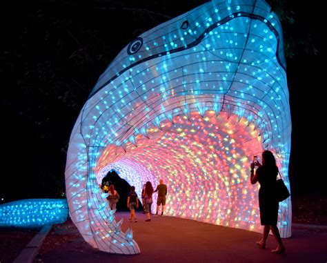 Chinese Lantern Spectacle Comes To Bostons Franklin Park