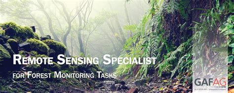 Job Offer Remote Sensing Specialist For Forest Monitoring Tasks Earsc