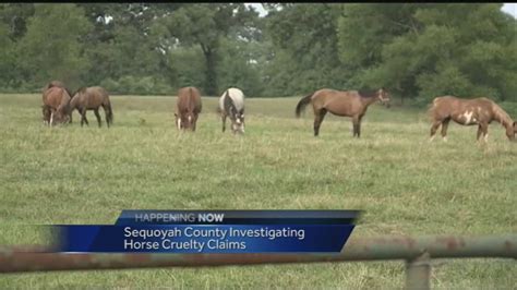 Horse Trainer Arrested Charged With Animal Cruelty