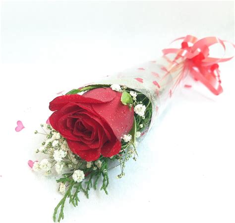 Single Red Rose Womens Day Flowers Womens Day Bouquet Bloomsvilla