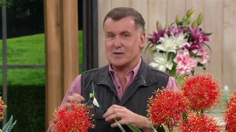 Robertas 5 Piece Exotic Starfire Lilies On Qvc Youtube