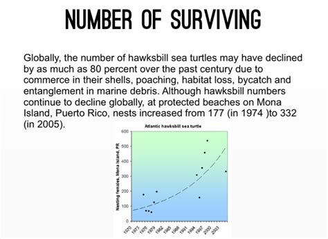 Hawksbill Sea Turtle Project Screen 9 On Flowvella Presentation