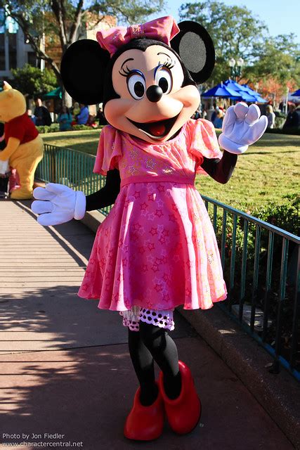A Year With Minnie Mouse At Walt Disney World Disney Character
