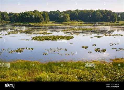 Jamestown Audubon Center and Sanctuary in New York Stock Photo - Alamy
