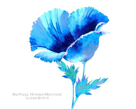 Blue Poppy Watercolor Painting Handmade Wall Art Flower Etsy