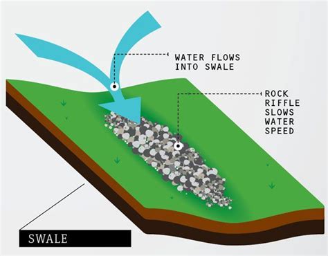 A Diagram Showing The Flow Of Water From A Rock Into A Shallow Body Of