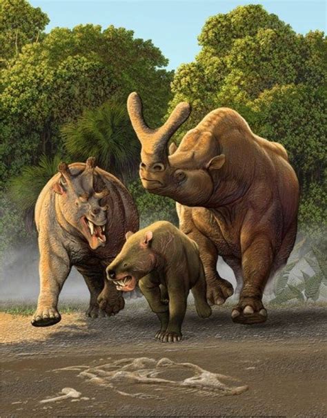 Extinct Eocene Browsers Uintatherium Left About The Size Of A Rhino