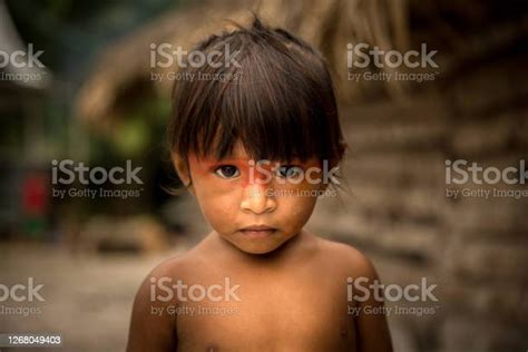 トゥピグアラニ民族出身の子どもの肖像 先住民文化のストックフォトや画像を多数ご用意 先住民文化 ネイティブアメリカン ブラジル Istock