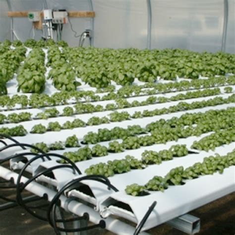 How To Build A Nft Hydroponic System