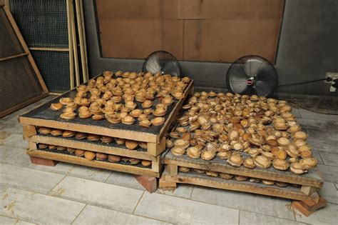 r1 million abalone bust in cape town