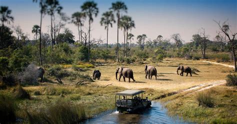 7 Jours De Safari Chobe Savuti Delta De Lokavango