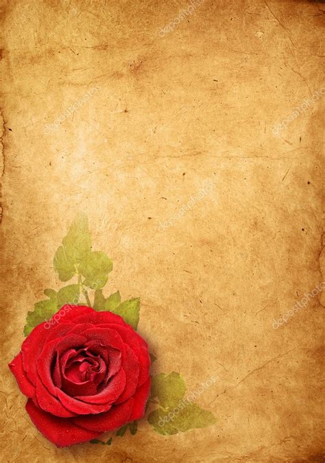Old Paper Background Vintage Rose — Stock Photo © Irochka 5118754