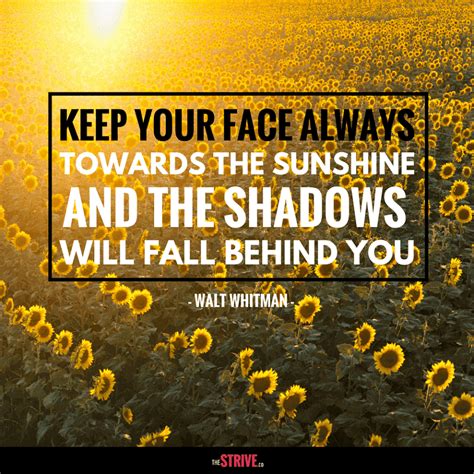 Sunshine Quotes 25 Favourite Sunshine Quotes Ideas Sunshine