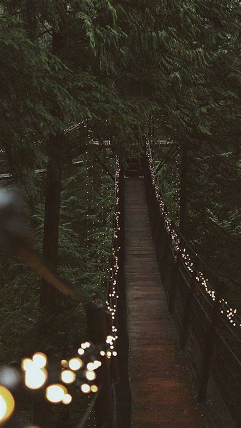 Aesthetic pastel wallpaper aesthetic backgrounds aesthetic wallpapers. Aesthetic Forest Tumblr - Largest Wallpaper Portal
