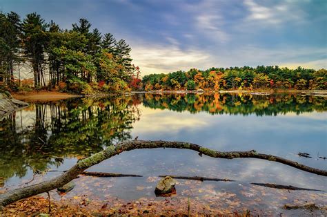 Reflection On Spot Pond Photograph By Michael Hubley