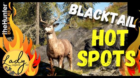 2021 Blacktail Hot Spot Guide Hunter Call Of The Wild Youtube