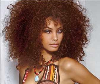 Afro hair free brushes licensed under creative commons, open source, and more! 19 long brown curls afro - My New Hair