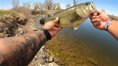 Bed Fishing With Wacky Rig Caught My New Pb Youtube