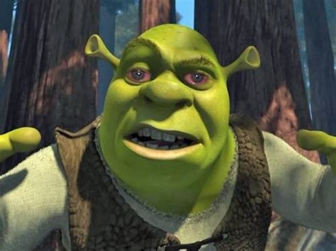 A Picture I Made Showing Shrek Crying Rshrek