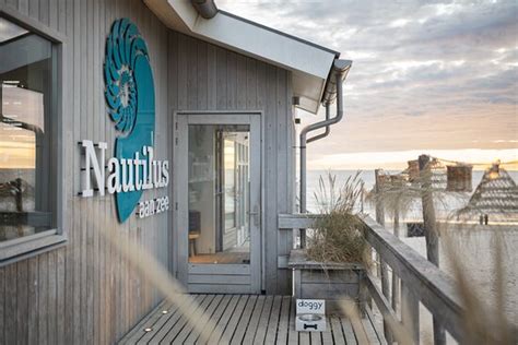 Nautilus Aan Zee Egmond Aan Zee Menú Precios Y Restaurante