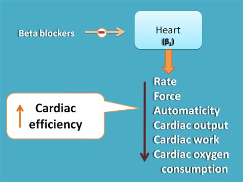 Actions And Uses Of Beta Blockers