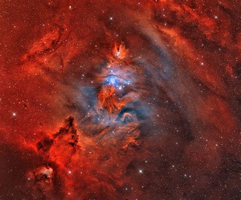 A Fox Fur A Unicorn And A Christmas Tree Astronomy Pictures