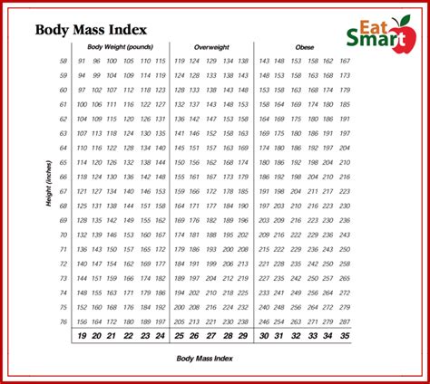 Bmi Vs Body Fat Percentages What You Need To Know And How To Measure