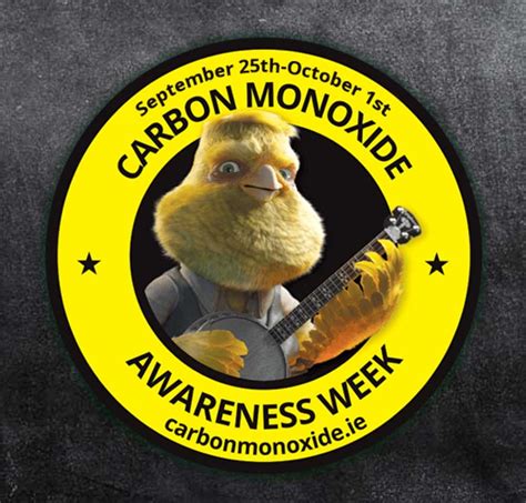 Carbon monoxide poisoning occurs when carbon monoxide builds up in your bloodstream. Fire Service urges carbon monoxide awareness | The Clare Herald