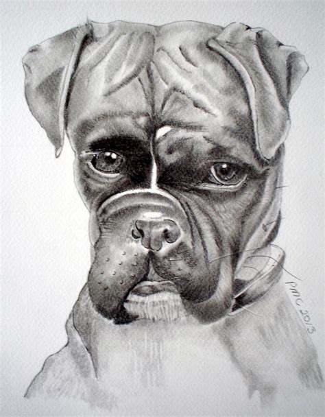 Tyson Boxer Dog From A Rescue Shelter Graphite Pencil Drawing On A4