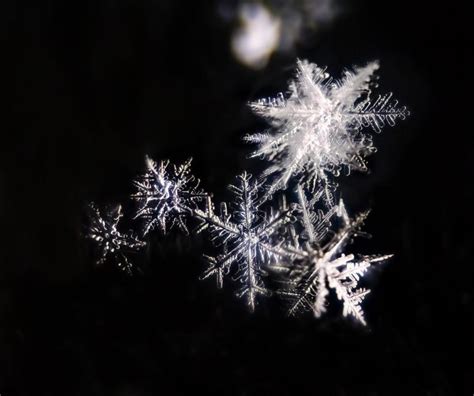 20 Majestic Close Up Pictures Of Snowflakes The Photo Argus