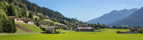 In österreich wirst du die herrliche berglandschaft und alpen erfahren, die bergwelt mit hund erwandern oder im burgenland den wein genießen. Wald Im Pinzgau in de Zomer - ChaletsPlus - Uw ...