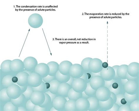 Other articles where raoult's law is discussed: Colligative Properties - Solutions - Training MCAT General ...