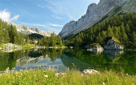 Nature Scenery wallpaper HD 1080p free Download for Mobile ...