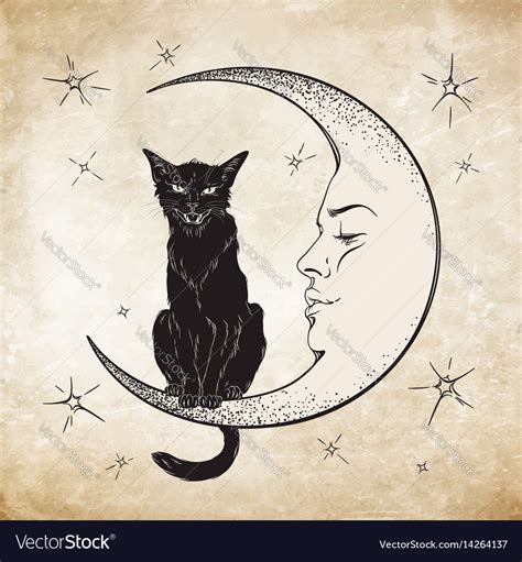 Black Cat Sitting On The Moon Wiccan Familiar Vector Image