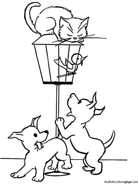 Download Cat & Dog coloring for free - Designlooter 2020 👨‍🎨