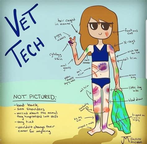 Vet Tech Vet Tech Humor Vet Tech Student Vet Tech Quotes
