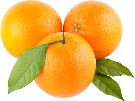 Orange Crush Oranges Mandarins And Tangerines
