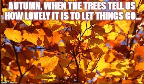 Autumn Wisdom Imgflip