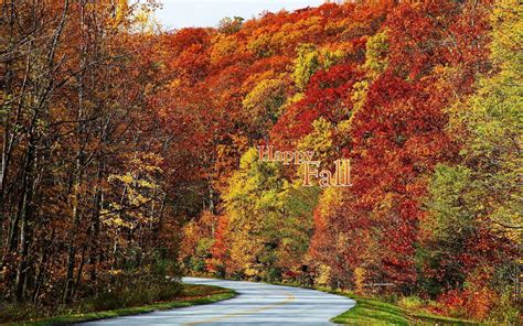Jul 24, 2020 · 16 vegetables you can plant now for fall harvest just as the summer garden gets in full swing, it's time to start thinking about fall. Fall Colors Wallpaper Backgrounds - Wallpaper Cave