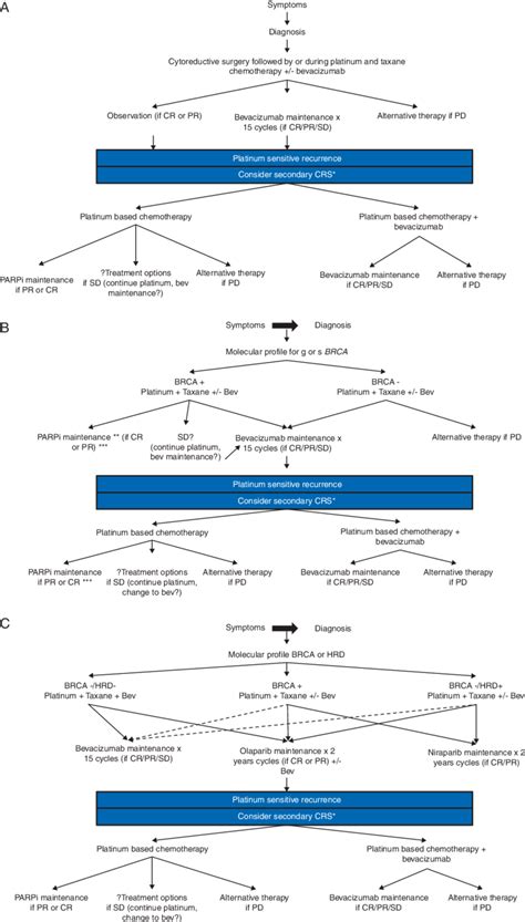Treatment Algorithm For Patients Diagnosed With Epithelial Ovarian