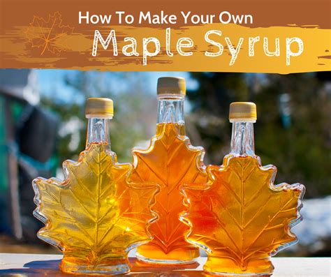 Canadian Maple Syrup Day Syrup Maple Benefits Nutrition Neroenda