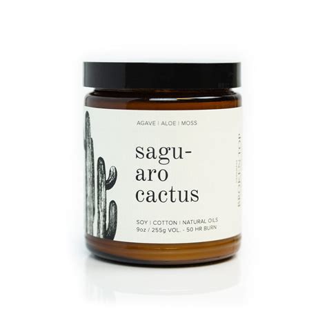 Saguaro Cactus Soy Candle Broken Top Brands