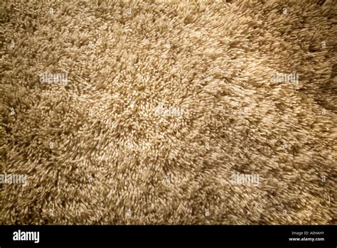 Chunky Shag Texture Tan Buff Brown Thick Pile Carpet Rug Fabric Wool