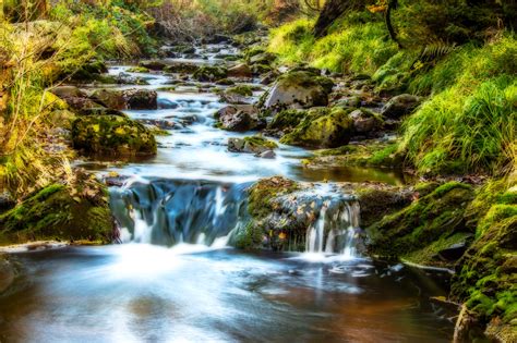 Free Images Landscape Nature Forest Waterfall Creek Wilderness