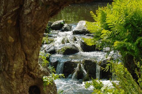 Images Gratuites Paysage Arbre Eau La Nature Forêt Roche