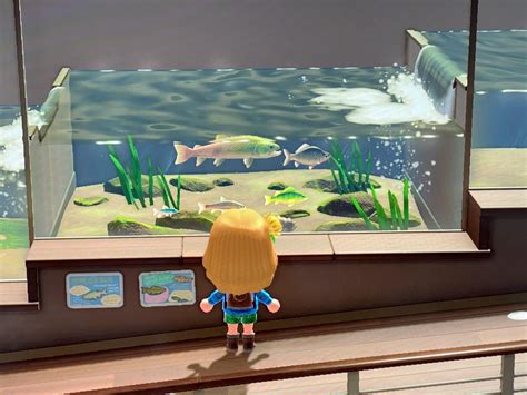 So you are outnumbered, cakesniffers. DIY games to play with your friends in Animal Crossing ...
