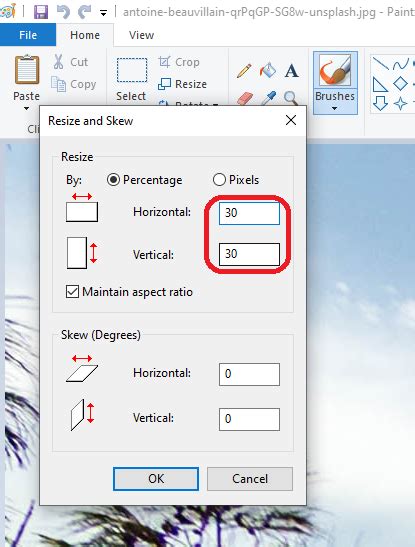 How To Resize Image In Paint 2x2 Gadgetsbetta