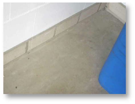 Garage lüften und schimmel in der garage wirksam vorbeugen. Schimmel in der Garage - Feuchtigkeit einfach rauslüften