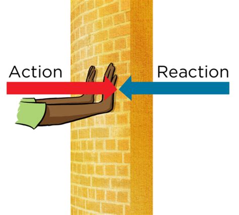 Do Action And Reaction Pairs Of Forces Balance One Another Socratic