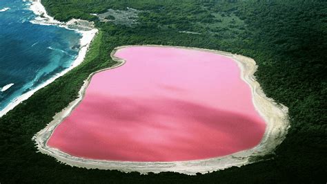 This Lake In Australia Is Pink Heres Why